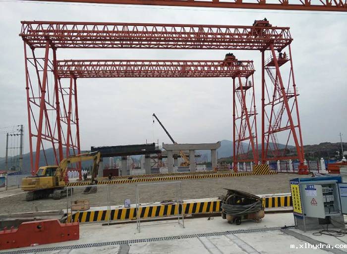 40t大跨度花架龙门起重机